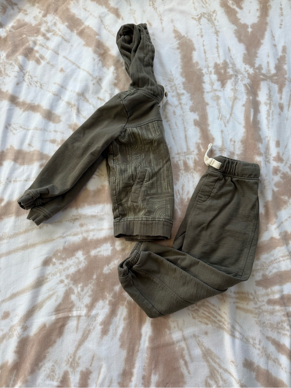 3T Burts Bees Hoodie and Jogger Set